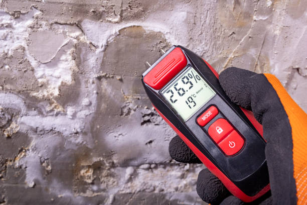 Best Certified Mold Removal  in Sherwood, AR