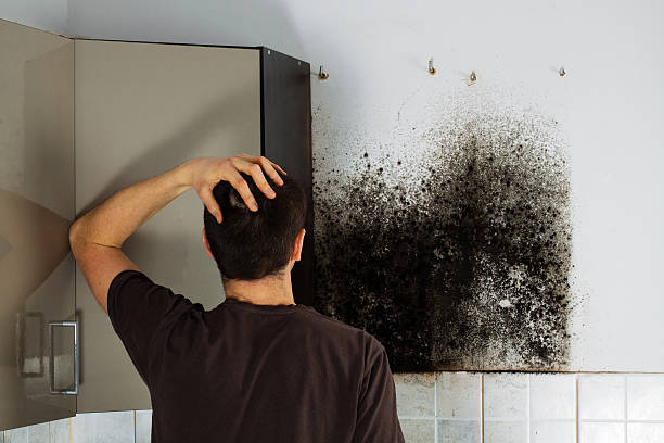 Best Office Mold Removal Services  in Sherwood, AR